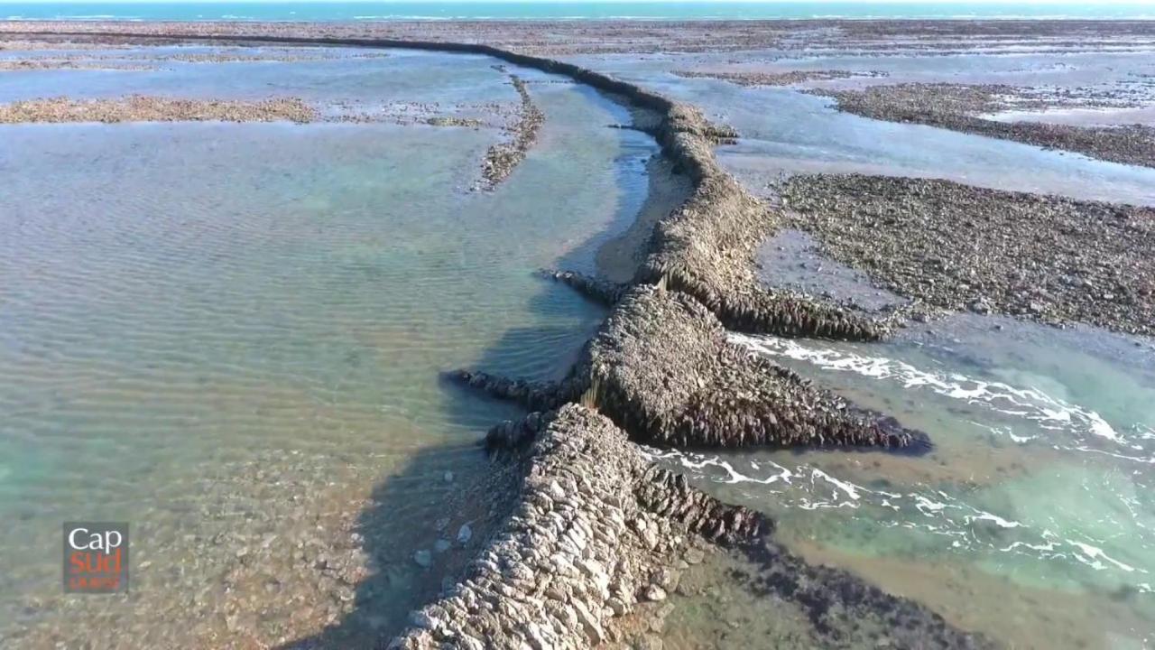 Les Pieds Dans L'Eau Acces Direct A La Plage Ла-Котиньер Экстерьер фото